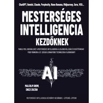 Könyv - Mesterséges intelligencia kezdőknek