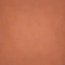 Little Prince Terra Vászon háttér 180 x 120 cm