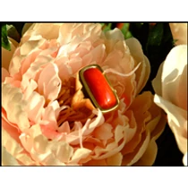 Cokin A101 Close-up+1 szűrő A Méret