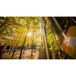 Kép 8/17 - LAOWA 10 mm f/2.8 Zero-D FF (autofókuszos) objektív – Sony FE