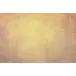 Kép 1/2 - Little Prince Naplementés égbolt Vászon háttér 225 x 150 cm