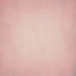 Kép 1/2 - Little Prince Szirom Vászon háttér 225 x 150 cm
