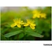 Kép 19/21 - TAMRON 24mm F/2.8 Di lll OSD 1:2 Macro (SONY E)
