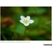 Kép 17/20 - TAMRON 35mm F/2.8 Di lll OSD 1:2 Macro (SONY E)