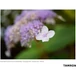 Kép 19/20 - TAMRON 35mm F/2.8 Di lll OSD 1:2 Macro (SONY E)