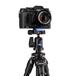 BENRO TSL08AN00 SLIM TRIPOD KIT ALUMINIUM N00 FEJJEL BENRO TSL08AN00 SLIM TRIPOD KIT ALUMINIUM N00 FEJJEL